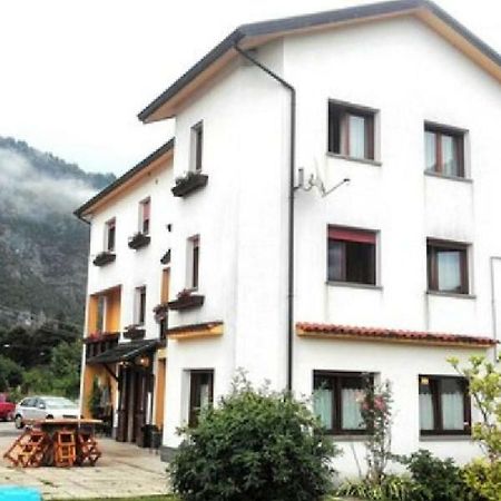 Albergo Alla Pineta Villa Santina エクステリア 写真