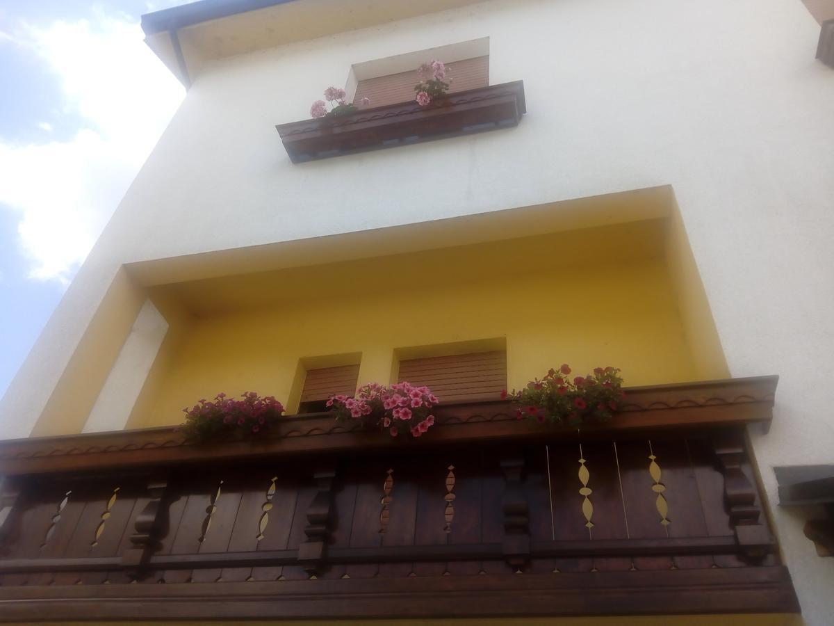 Albergo Alla Pineta Villa Santina エクステリア 写真