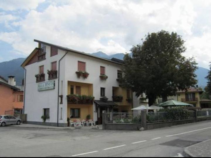 Albergo Alla Pineta Villa Santina エクステリア 写真